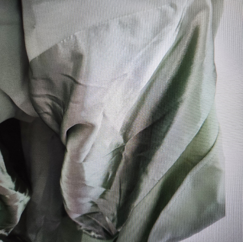 Spring Green Pantsuit - Picture 5 of 9